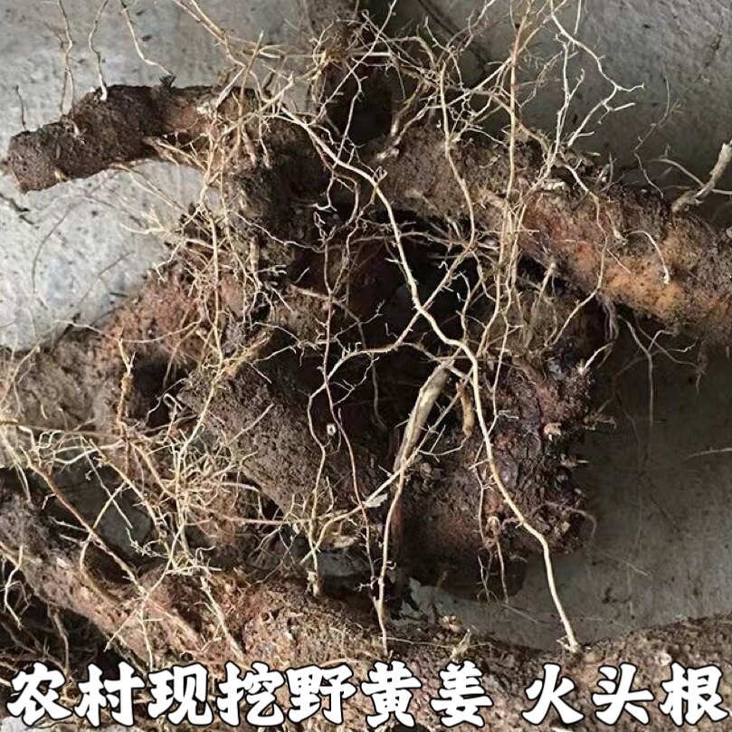 农村土特产野黄姜火藤根黄姜种盾叶薯蓣新鲜生火头根3斤装