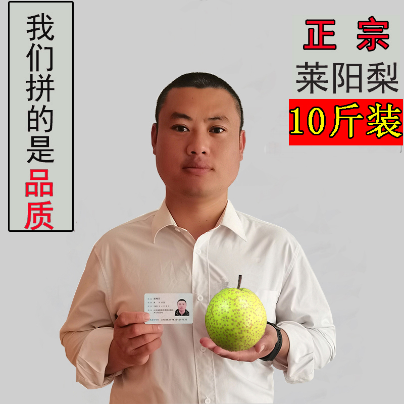 新鲜莱阳梨梨莱阳梨正宗