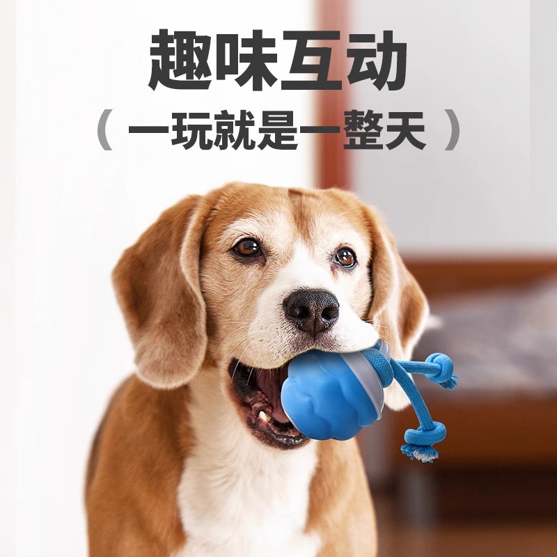狗狗电动玩具球宠物智能自嗨电动球跑动解闷逗猫逗狗电动狗狗玩具