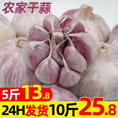 陕西紫皮大蒜头干蒜5斤干大蒜头鲜蒜新鲜现货独头多瓣10斤装包邮