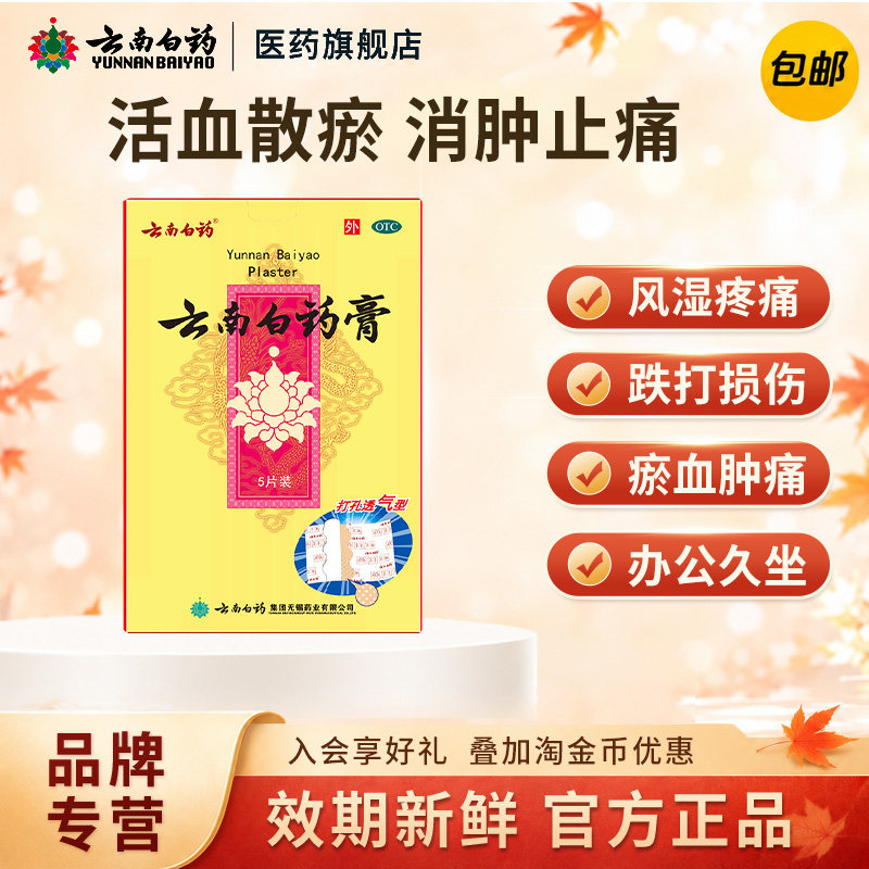 [云南白药]云南白药膏1贴*5袋/盒图片