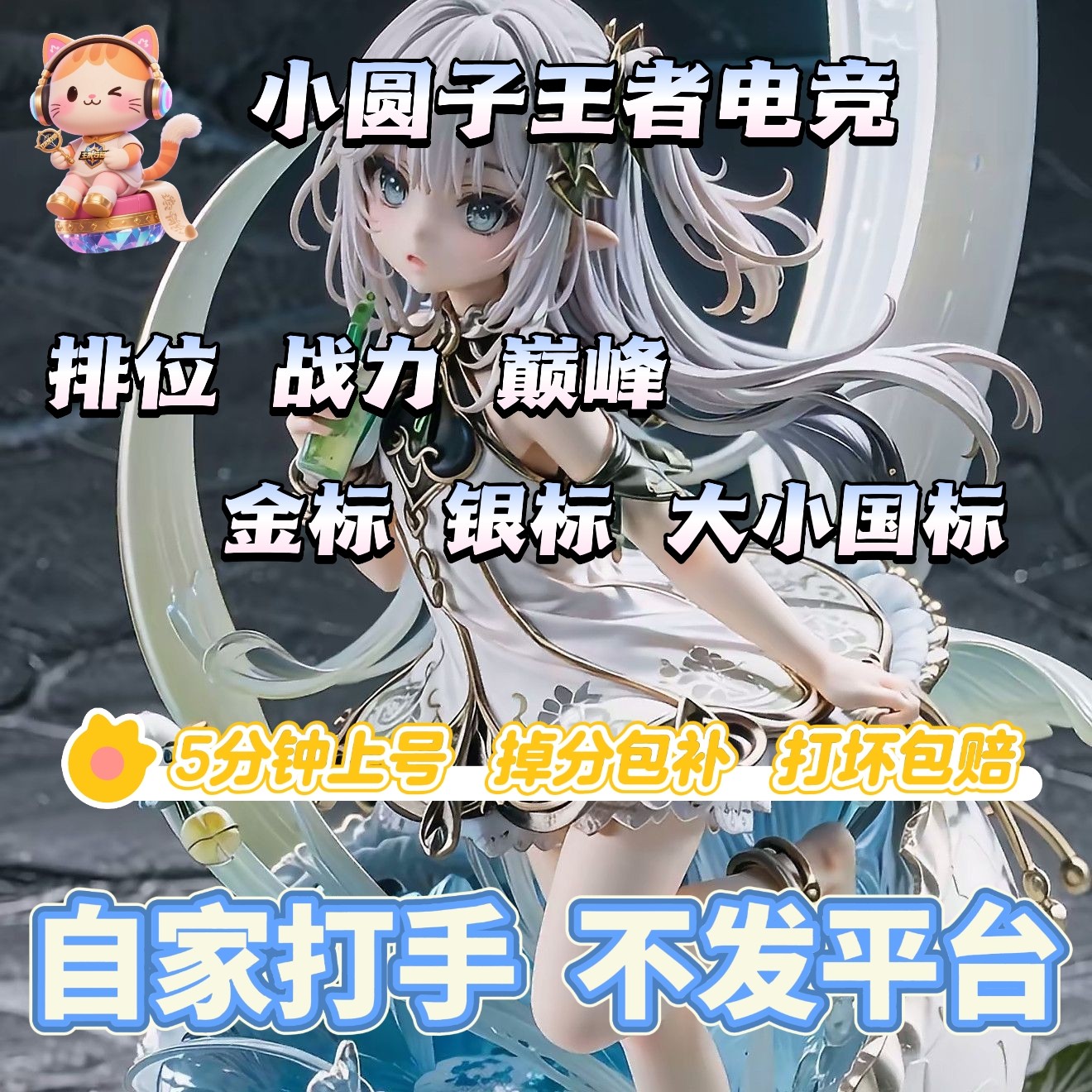 王者荣耀代练小圆子王者电竞大小国标百星巅峰魔方国服代打工作室图片