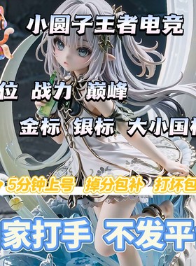 王者荣耀代练小圆子王者电竞大小国标百星巅峰魔方国服代打工作室