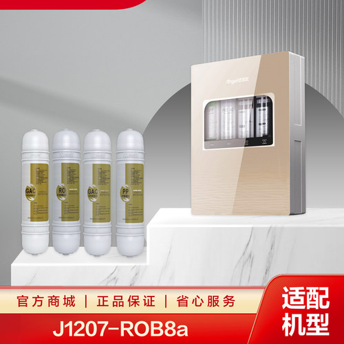 J1207-ROB8 a滤芯