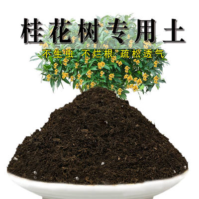 土壤配方有机肥料.种植专用花土养土营养桂花树透气土盆栽泥土土