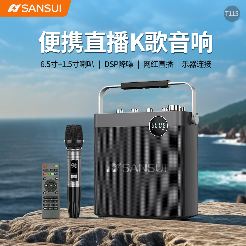 T113蓝牙音箱大功率100w低音炮手提式广场舞户外直播K歌无线话筒