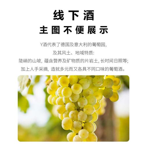 【线下款 酒吧餐馆有售】德国原瓶进口雷司令干白型葡萄酒Y标