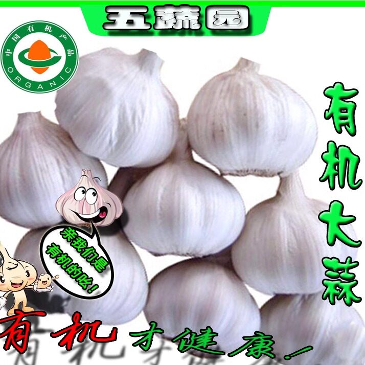 现货新鲜有机干大蒜大蒜头紫白皮大蒜非金乡非独头大蒜包邮