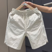 痞帅男装 子男薄款 短裤 夏季 速干五分裤 休闲潮流宽松直筒沙滩裤 新款