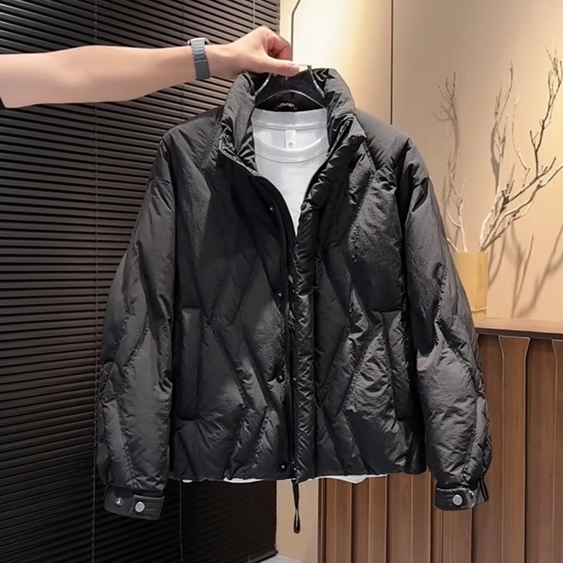 羽绒服男款轻奢立领外套