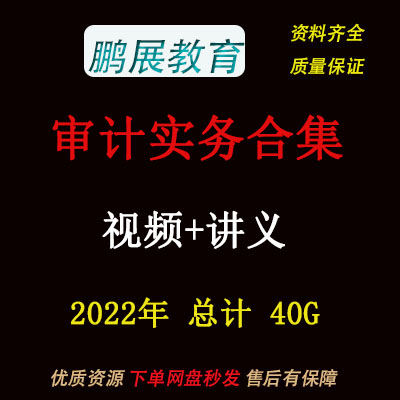 2022年审计视频审计实操实务课程会计实操视频