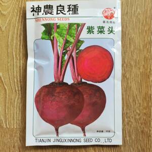 紫菜头种子神农种业天津科润蔬菜种子大田种子阳台盆栽菜