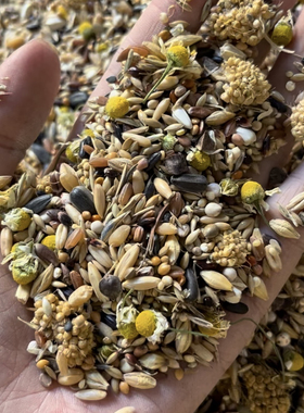 中大型鹦鹉粮 低油料 花草籽粮