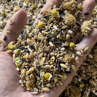 中大型鹦鹉粮 低油料 花草籽粮