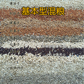 一斤真空装 鹦鹉宠上天 中小型鹦鹉文鸟玉鸟 14合一 基本型混粮