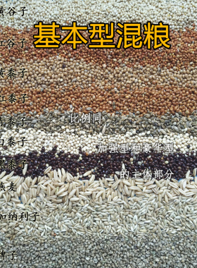 鹦鹉宠上天 基本型混粮 14合一  中小型鹦鹉文鸟玉鸟  一斤真空装