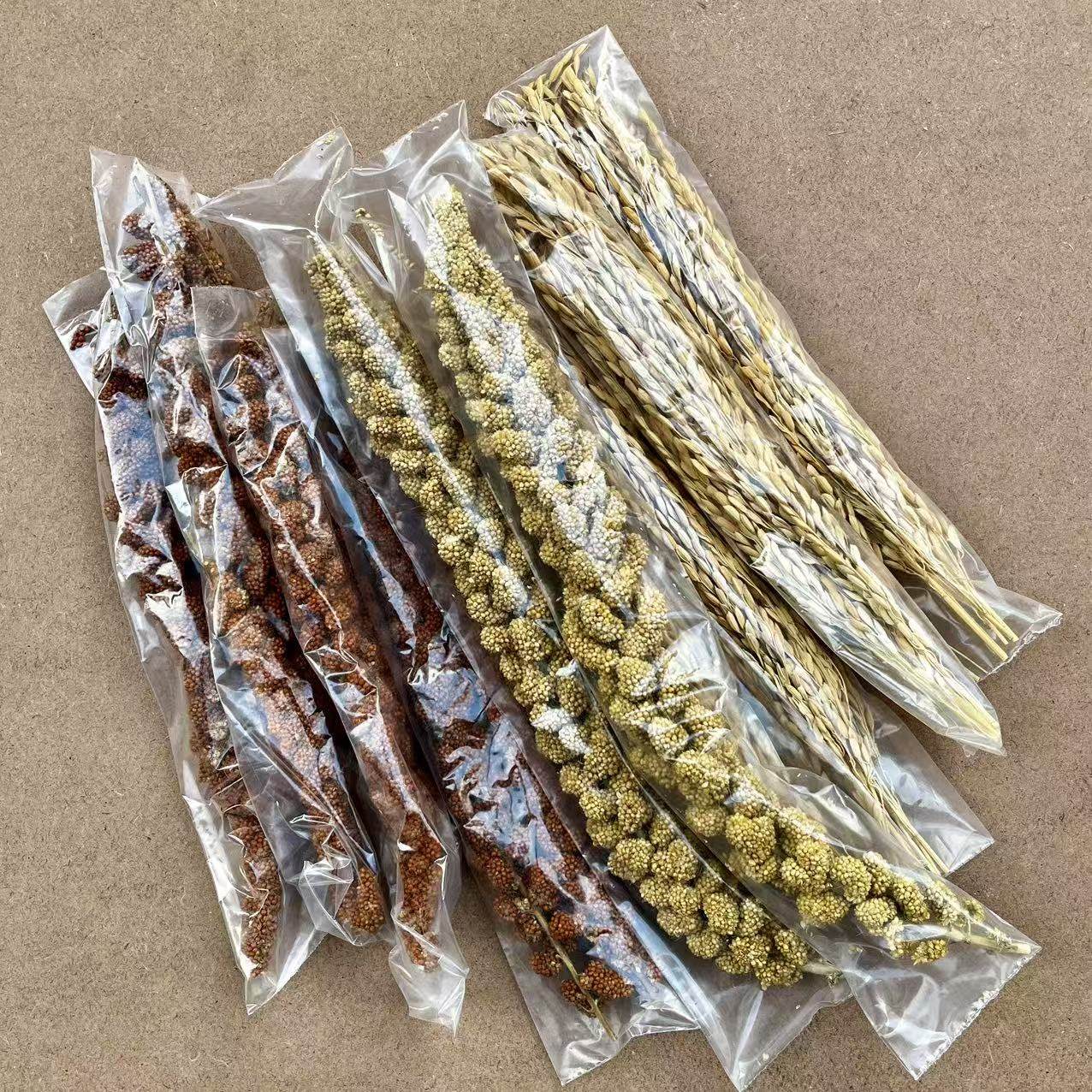 黄谷穗 红谷穗 稻穗 天然穗子 鸟零食  仓鼠零食 逗鸟 小包装,宠物/宠物食品及用品,鸟禽其他,淘宝优惠券,粉丝福利购,淘宝优惠卷