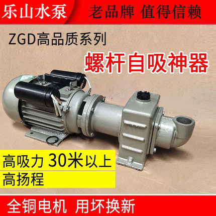 龙王牌家用自吸泵大吸力高扬程大流量抽水泵单相乐山人民电机厂产