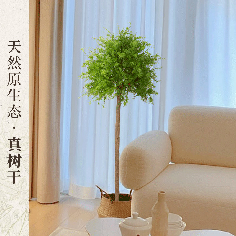 仿真绿植龙须树假树落地盆栽摆件室内装饰盆景棒棒糖仿生假植物