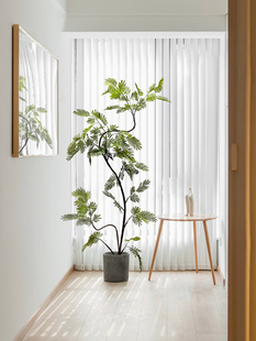 模拟绿色植物乳白色猴子耳环落地式盆栽装饰品室内客厅装饰大型无