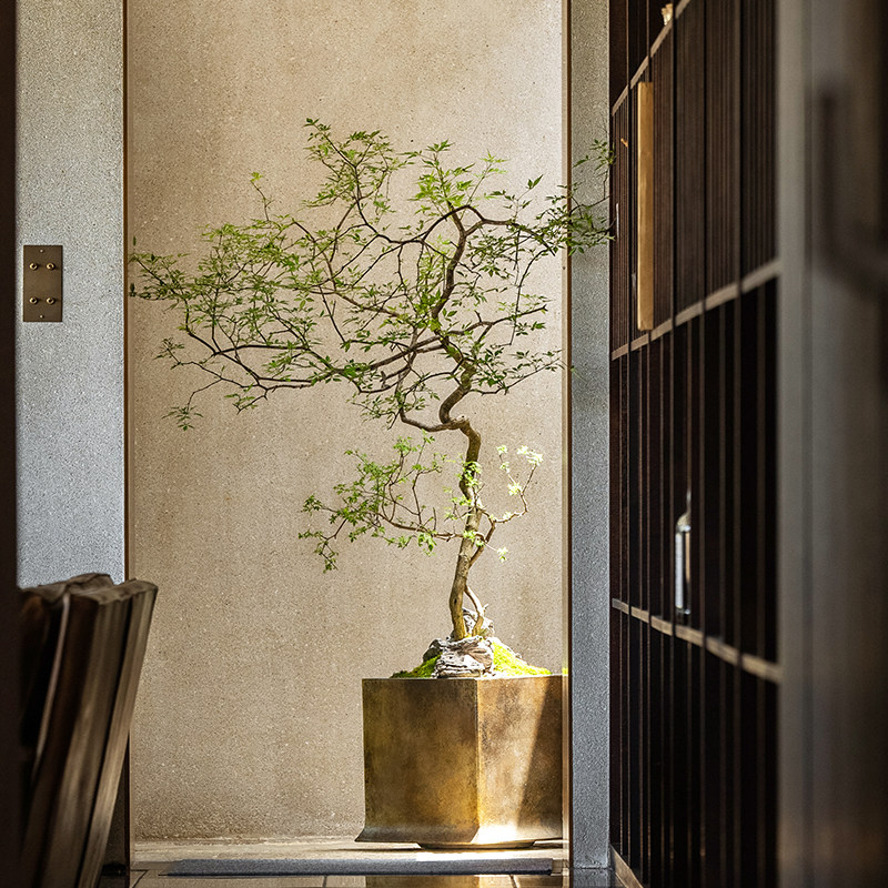 海虹雅林仿真绿植假树高端轻奢室内客厅落地盆栽装饰摆件仿生植物,家居饰品,仿真植物盆景,淘宝优惠券,粉丝福利购,淘宝优惠卷