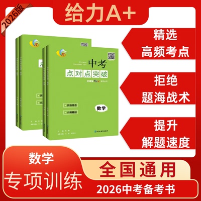 给力A+中考点对点数学专项突破训练思维拔高训练