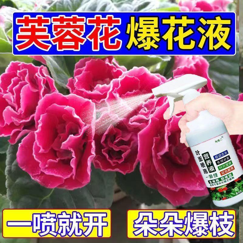 生根营养液【满盆开】芙蓉花专用营养液促花延长花期花苞叶片枯萎