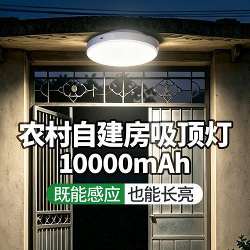【不用接线的吸顶灯】自建房首选