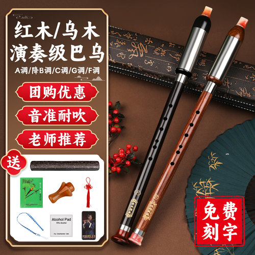 专业巴乌乐器小学生专用C调降B调