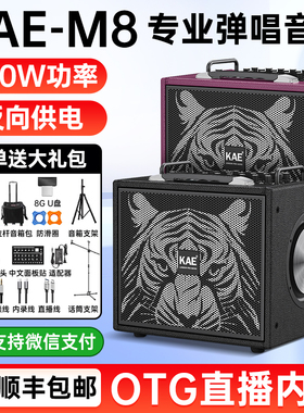 KAE M8音箱吉他电吹管萨克斯户外弹唱K歌内录乐器专业舞台音响