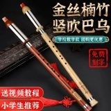 Музыкальные инструменты для школьников, подходит для начинающих