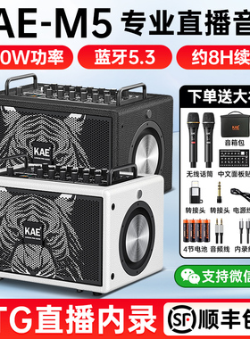 英国KAE M5虎头音箱乐器专用电吹管萨克斯吉他户外弹唱直播音响