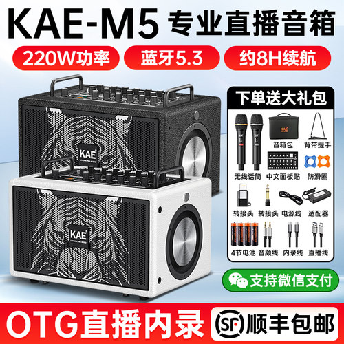 英国KAEM5虎头音箱乐器专用