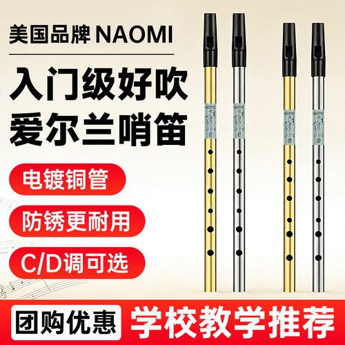 NAOMI爱尔兰哨笛C/D调高音初学