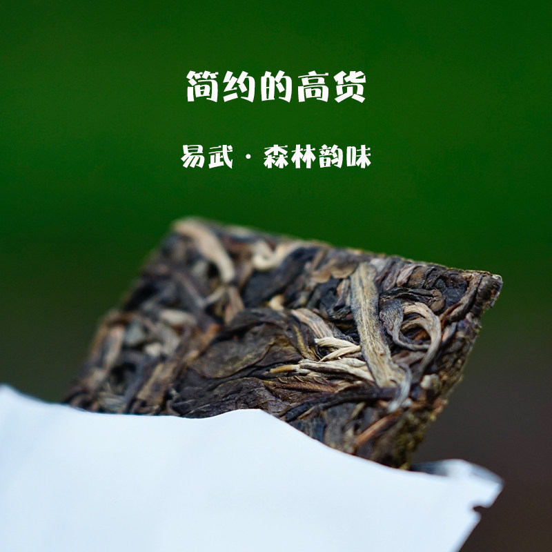 论系 易武森林韵味便携式方砖高端生茶 香椿林10米级高杆古树原料