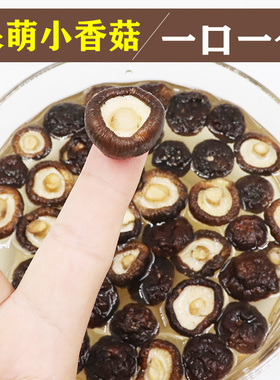 味至臻500g小香菇干特小香菇干货无根肉厚剪根冬菇农家特产金钱菇