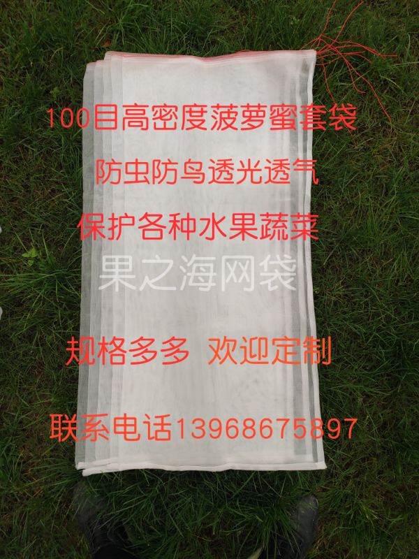 尼龙网袋防虫防鸟菠萝蜜释迦果番荔枝人心果套袋鱼塘出水口过滤袋