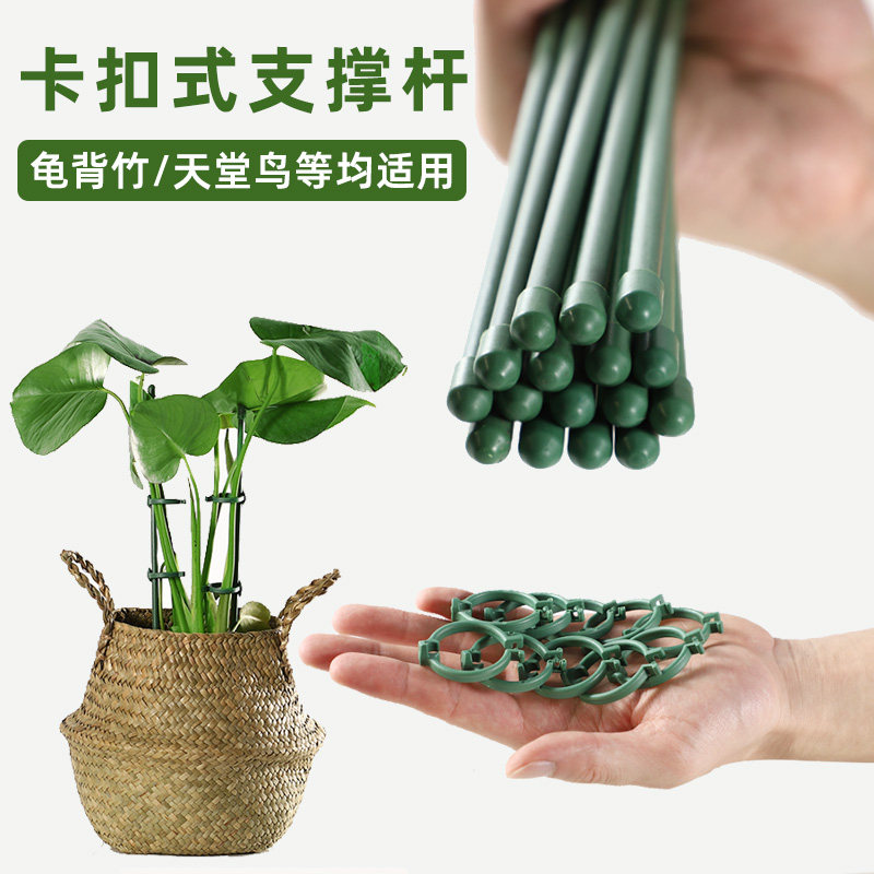龟背竹支撑杆花架固定器图片