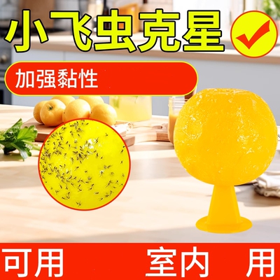 室内去除小飞虫克星飞虫诱捕器