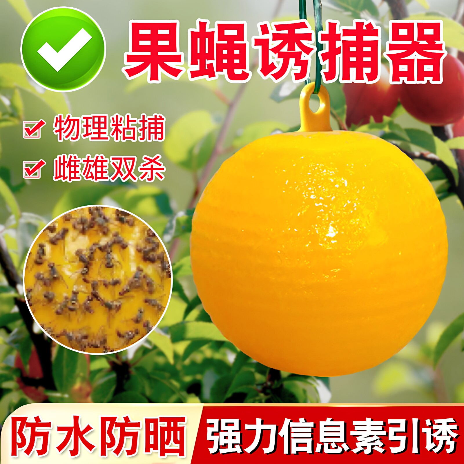 粘虫球丝瓜果实蝇贴诱蝇球针蜂马蜂色引诱剂果蝇诱捕器双面黄板纸