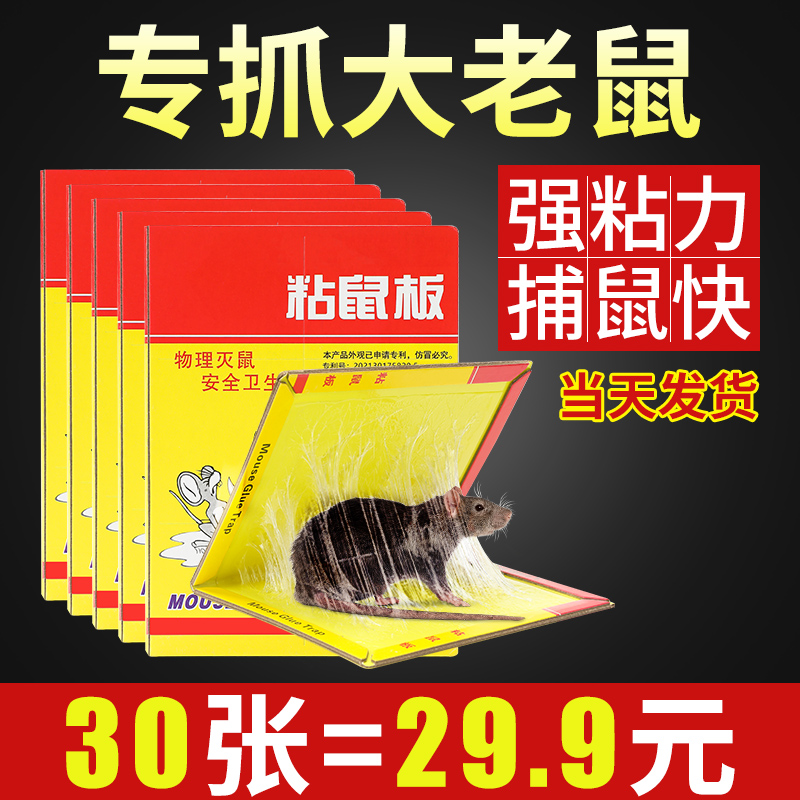 超强力粘鼠板捉抓粘大老鼠贴沾胶夹笼捕鼠灭鼠神器克星家用一窝端-封面