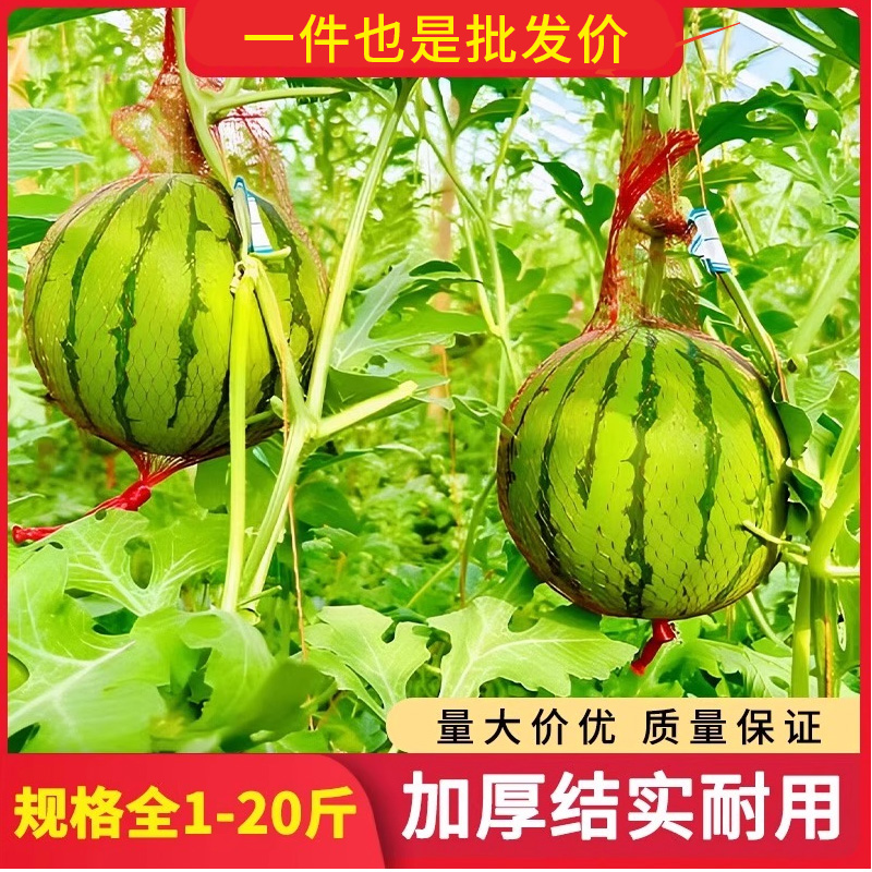 大棚吊西瓜网兜厚吊瓜挂瓜网袋子哈密瓜10斤红色带绳塑料网袋批发