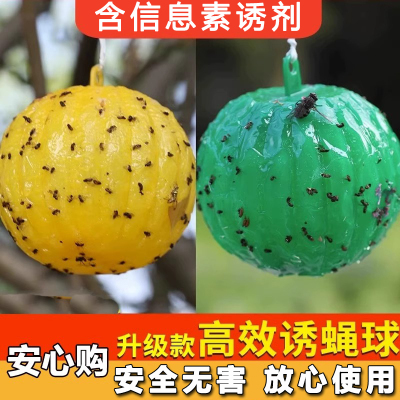 安全无害蝇虫诱捕器无毒