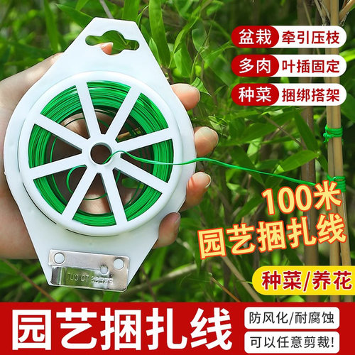 园艺扎带捆扎线包爬藤植物固定绳