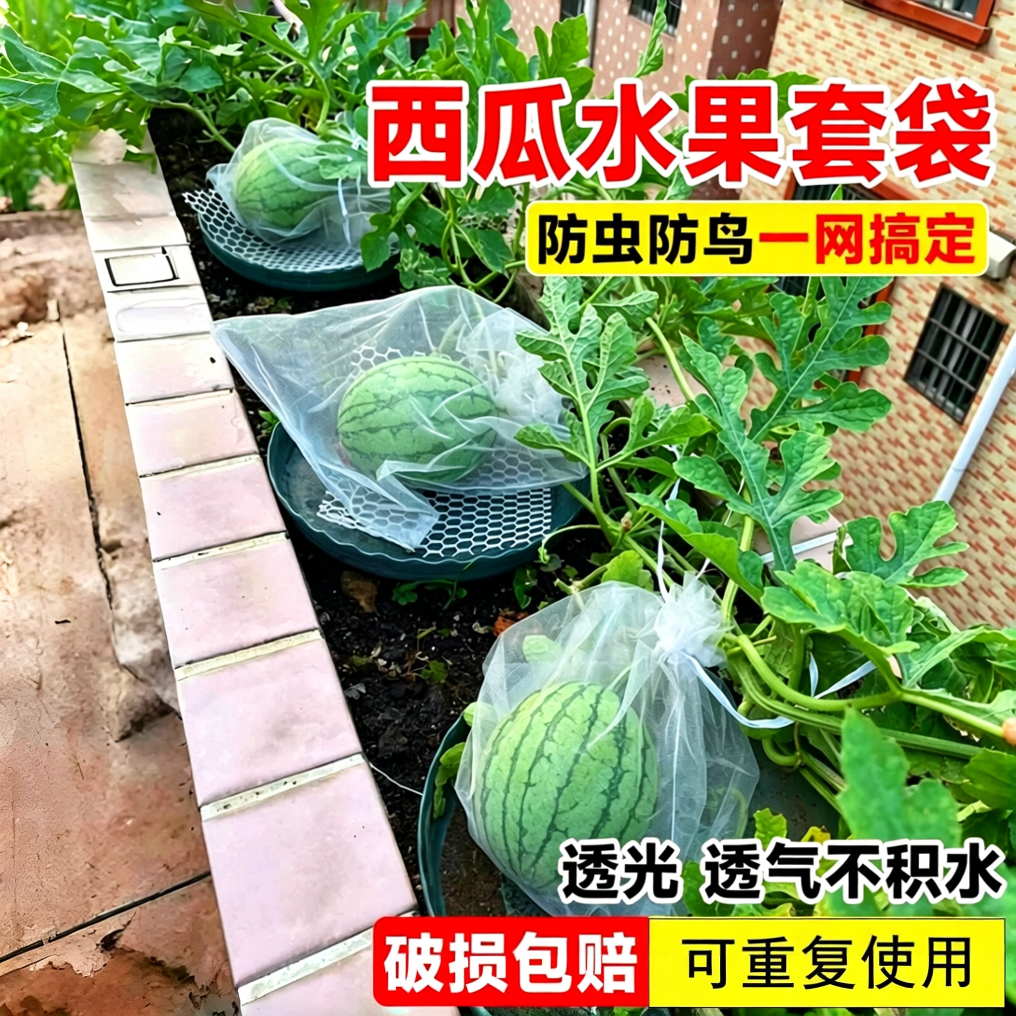 西瓜套袋专袋水果网套袋用防虫防鸟利器网纱香瓜哈密瓜果蔬袋套袋