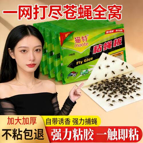 一网打尽苍蝇全窝强粘力加大划算