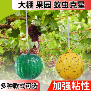 粘虫板黄板双面小飞虫灭杀器大棚灭苍蝇贴纸果园果蝇蚊子诱捕器