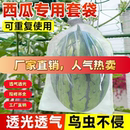 西瓜套袋防鳥防蟲專用袋透氣透光冬瓜水果瓜果套袋果袋防果蠅好物