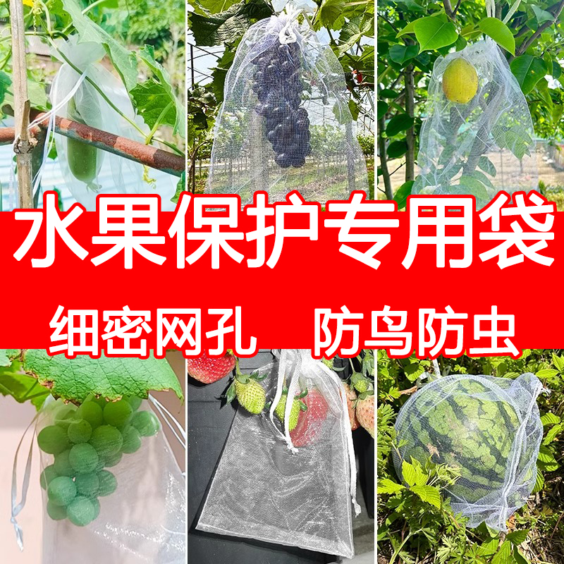 果树防虫网袋防鸟纱网袋保护葡萄袋无花果番石榴草莓套袋桃子套袋