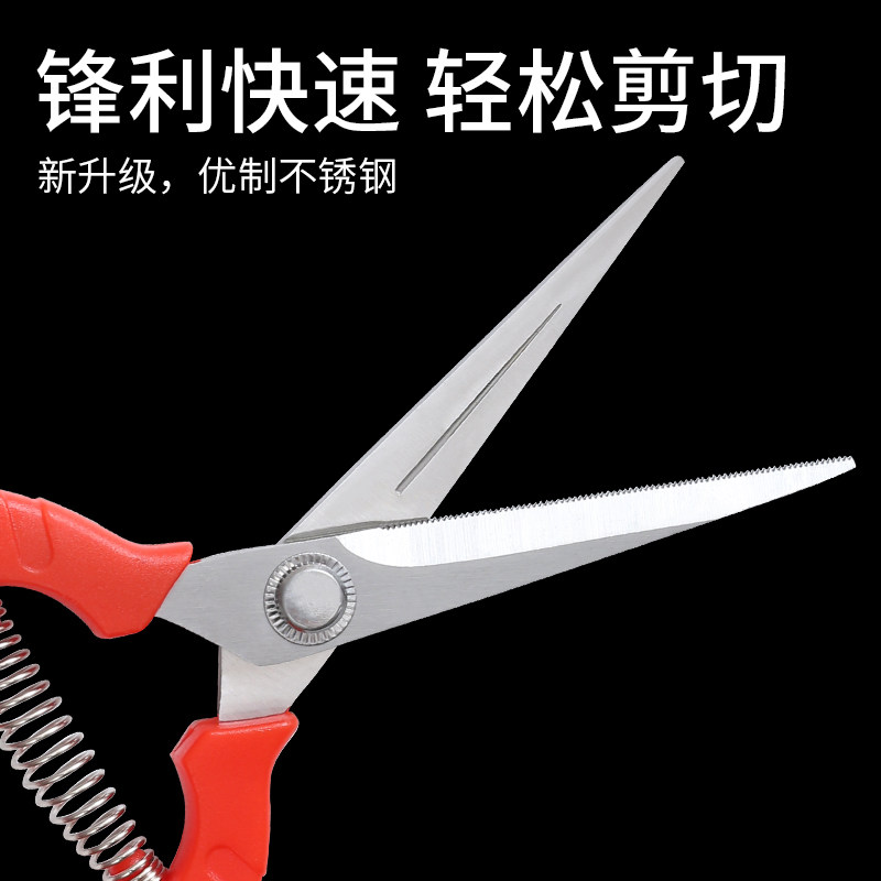 葡萄采果剪稀果疏花剪花椒采摘